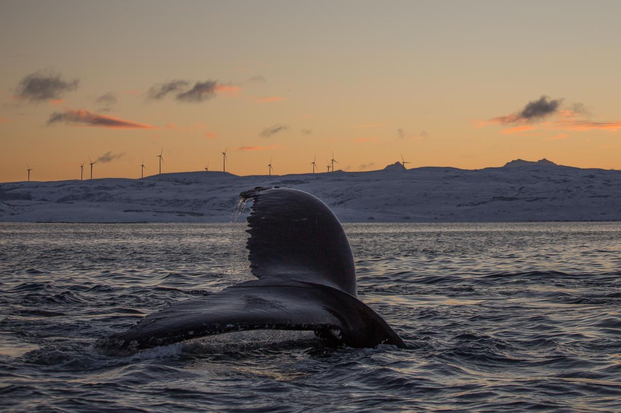 Vannoy Sport Og Havfiske Vannvåg Exteriör bild