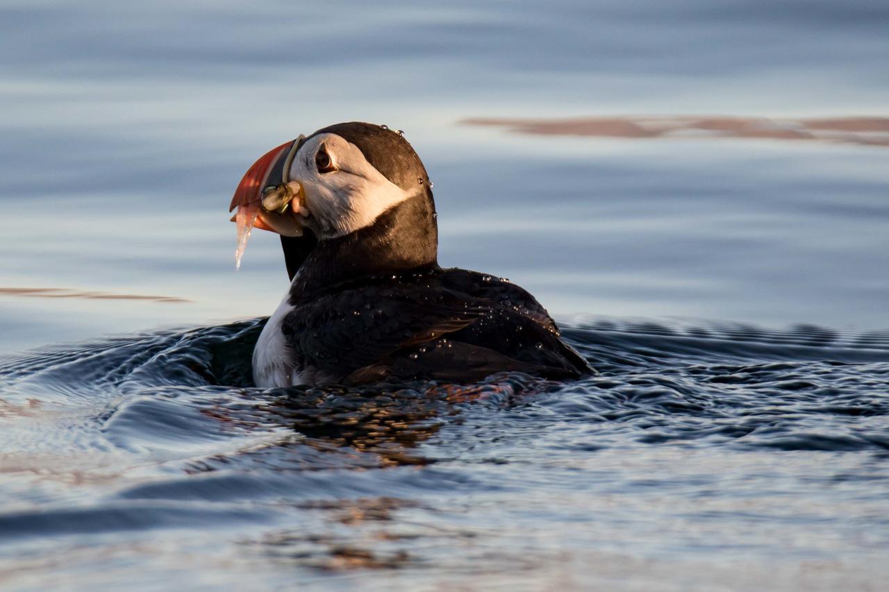 Vannoy Sport Og Havfiske Vannvåg Exteriör bild