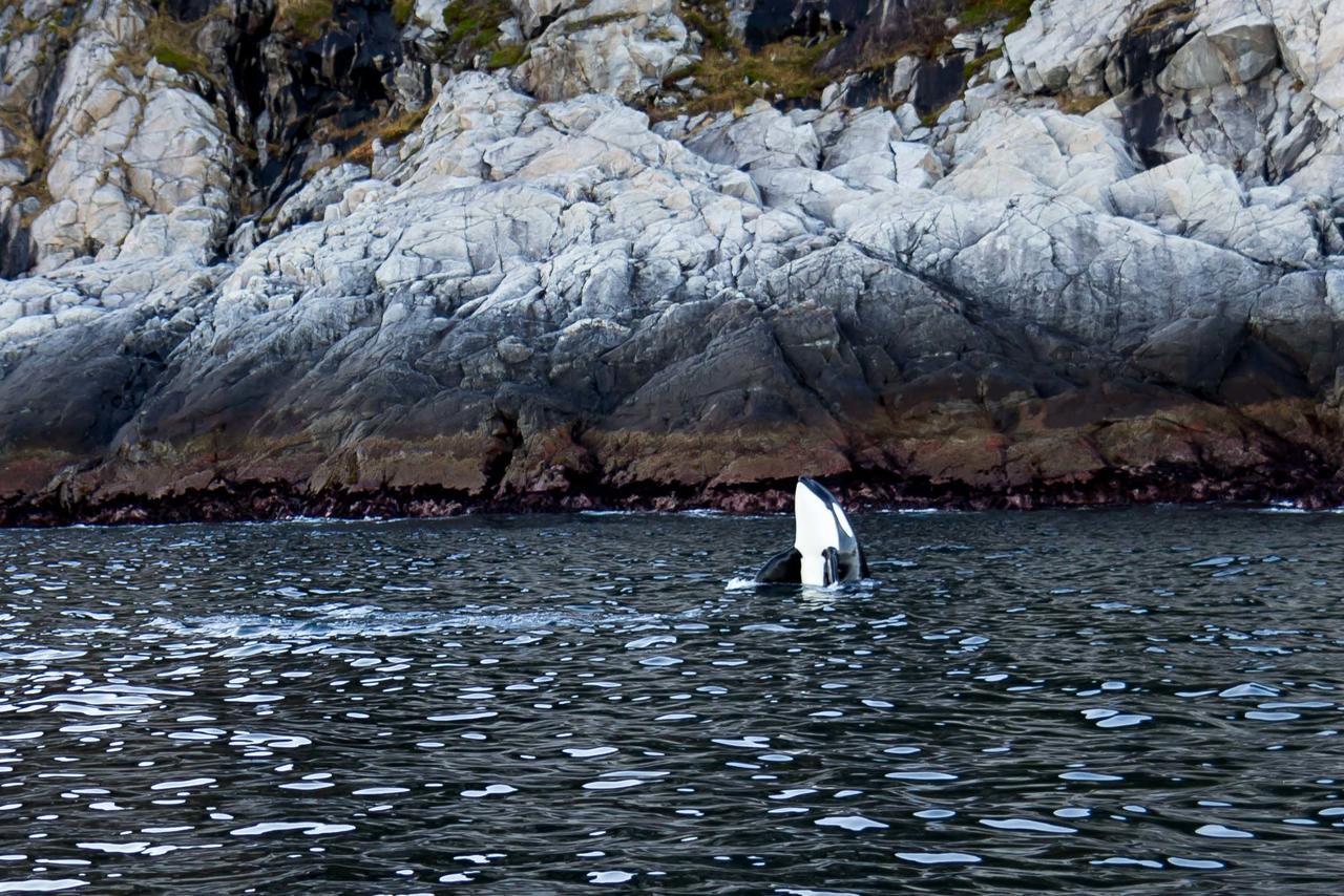 Vannoy Sport Og Havfiske Vannvåg Exteriör bild